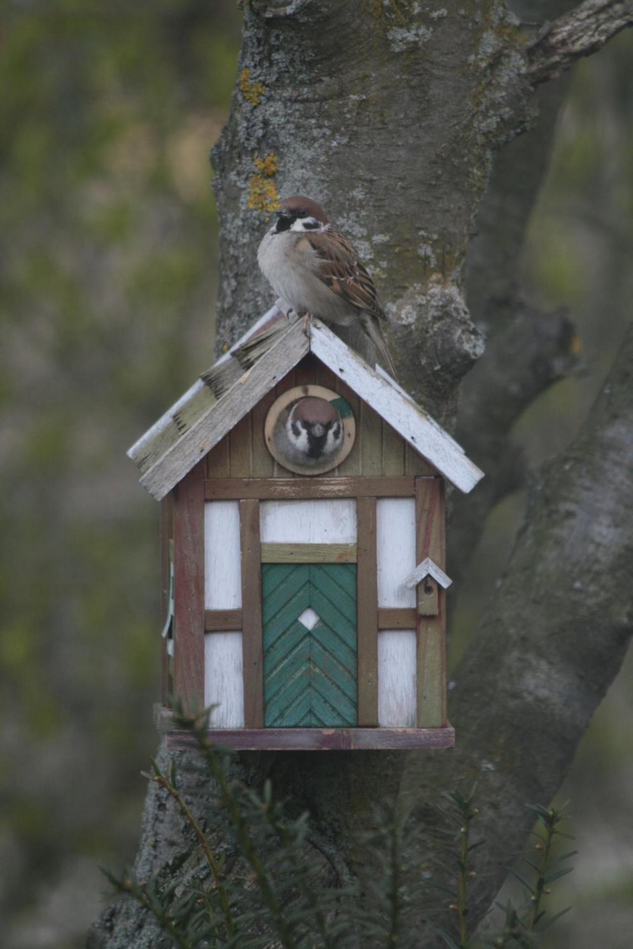 Lilla Huset Pa Slaetten B&B Lund Buitenkant foto