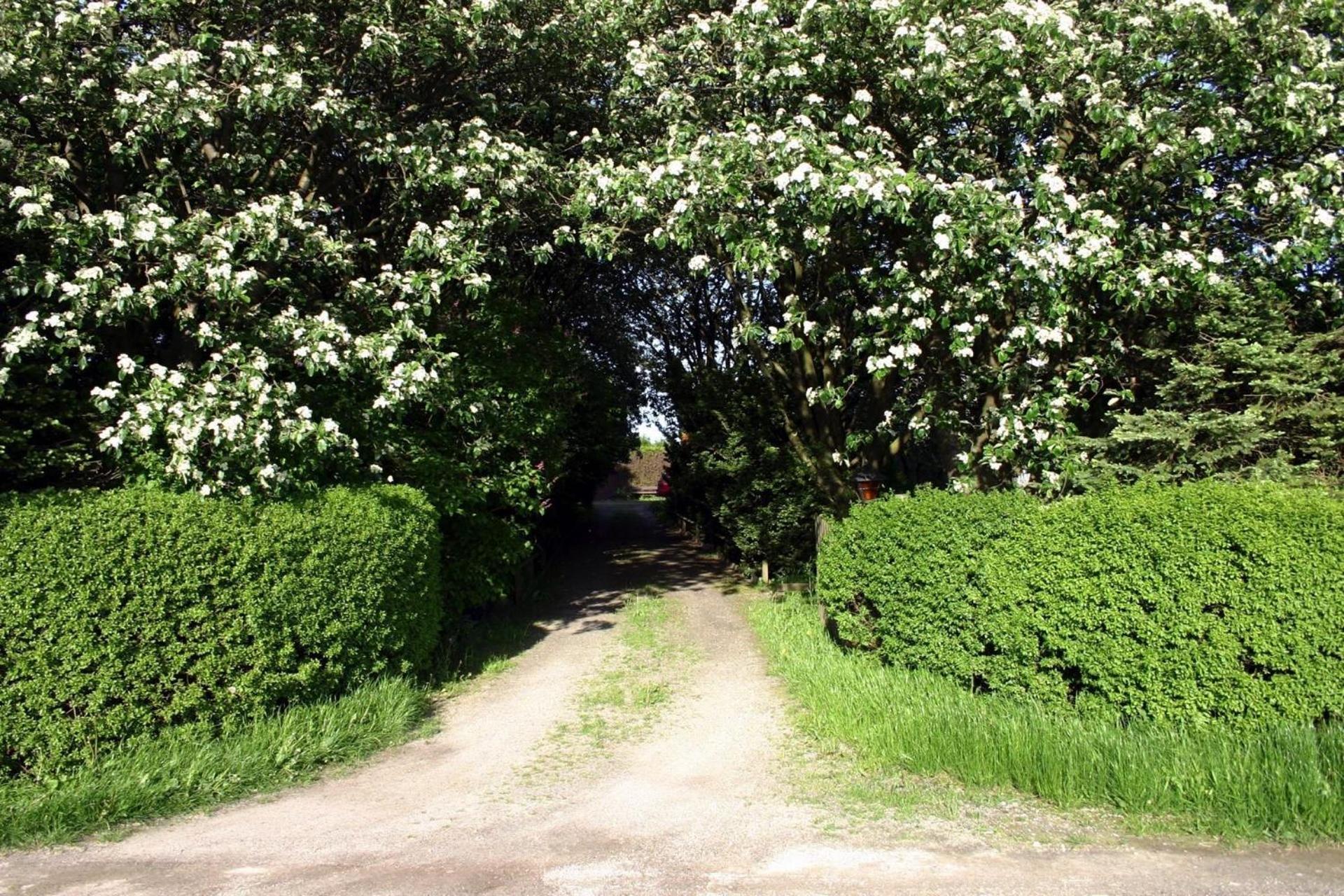 Lilla Huset Pa Slaetten B&B Lund Buitenkant foto