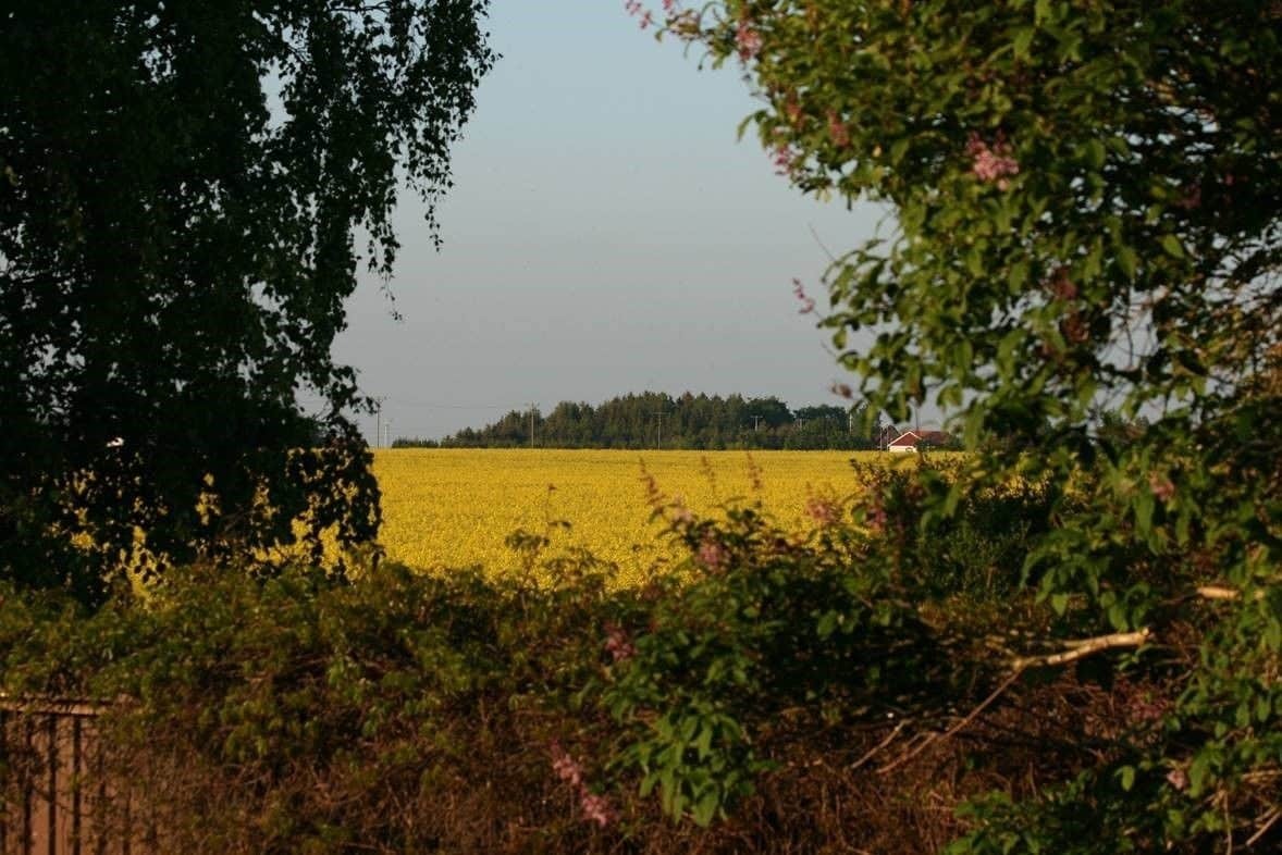 Lilla Huset Pa Slaetten B&B Lund Buitenkant foto